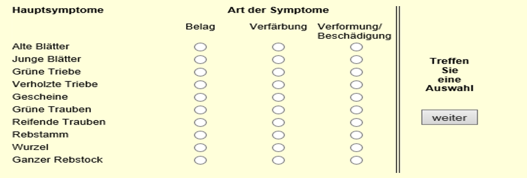 Weinsberg Rebendoktor - Tabelle für Angabe der Krankheits-Symptome