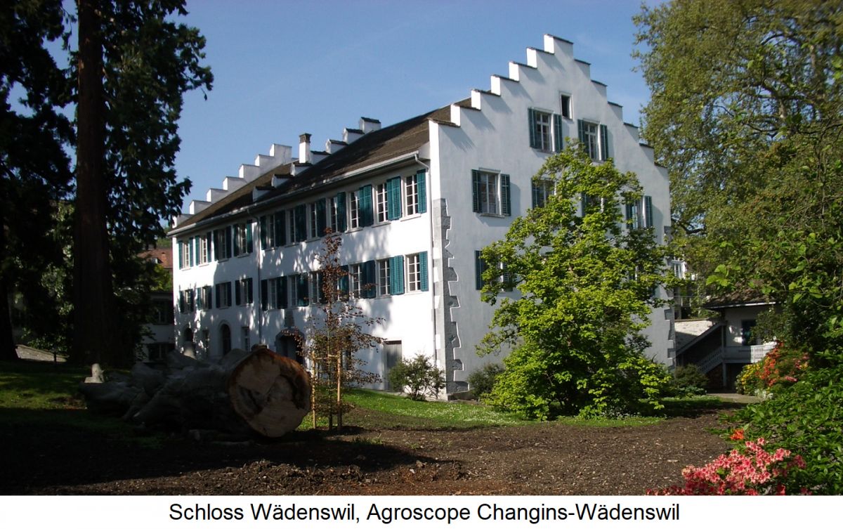 Agroscope Changins-Wädenswil - Schloss Wädenswil