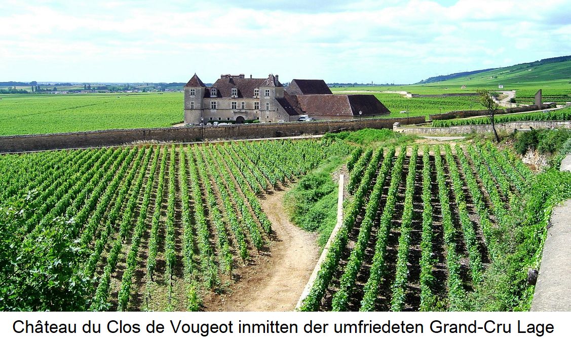 Clos - Château du Clos de Vougeot ínmitten der Grand-Cru Lage Clos de Vougeot