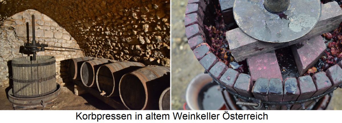 Korbpressen - in altem Weinkeller 