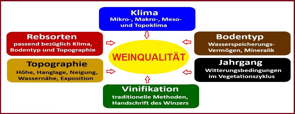 Bodentyp - Graphik Kriterien für Weinqualität