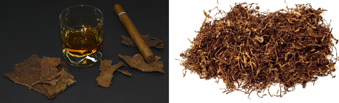 Tabak - Glas, Zigarre und Tabak